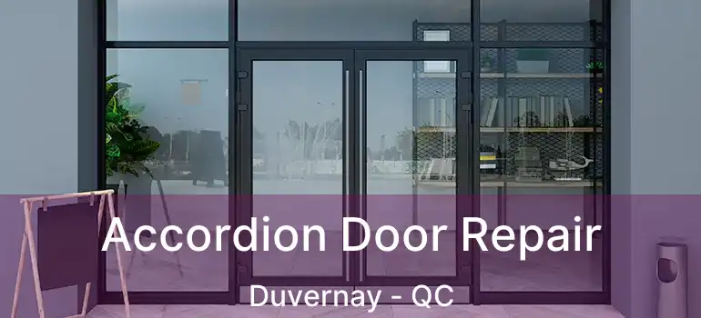  Accordion Door Repair Duvernay - QC