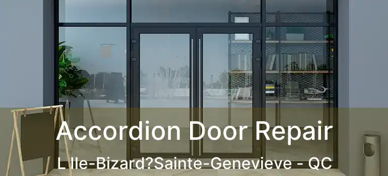  Accordion Door Repair L Ile-Bizard?Sainte-Genevieve - QC