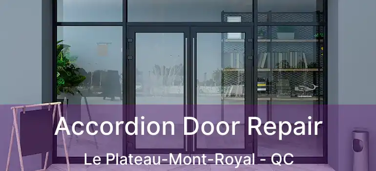  Accordion Door Repair Le Plateau-Mont-Royal - QC