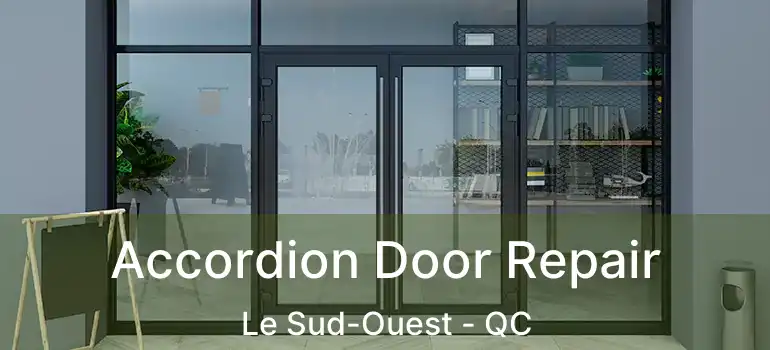  Accordion Door Repair Le Sud-Ouest - QC
