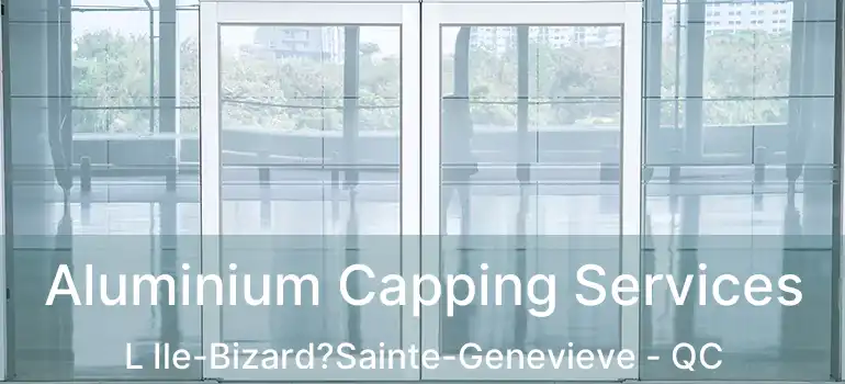  Aluminium Capping Services L Ile-Bizard?Sainte-Genevieve - QC