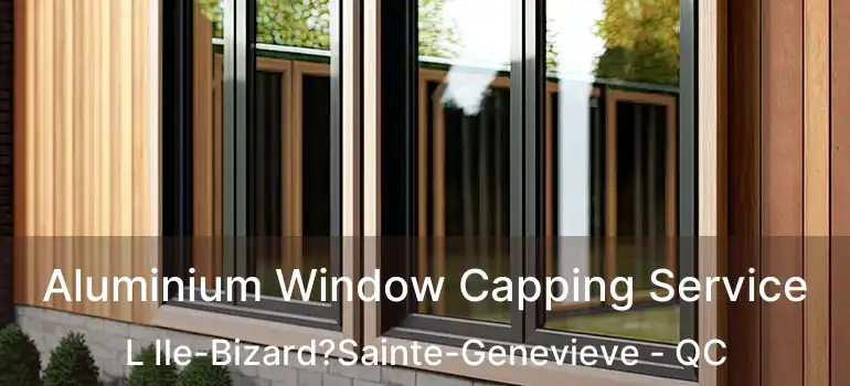  Aluminium Window Capping Service L Ile-Bizard?Sainte-Genevieve - QC