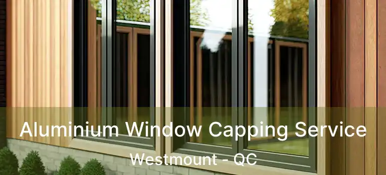  Aluminium Window Capping Service Westmount - QC