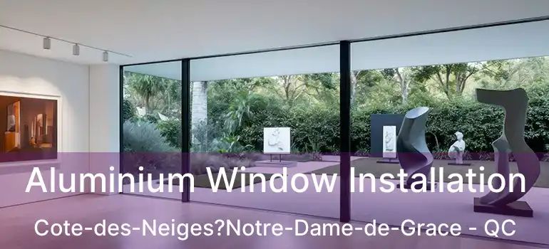  Aluminium Window Installation Cote-des-Neiges?Notre-Dame-de-Grace - QC