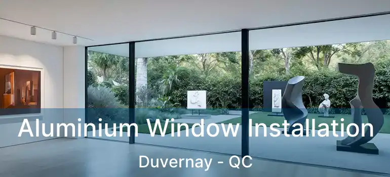  Aluminium Window Installation Duvernay - QC