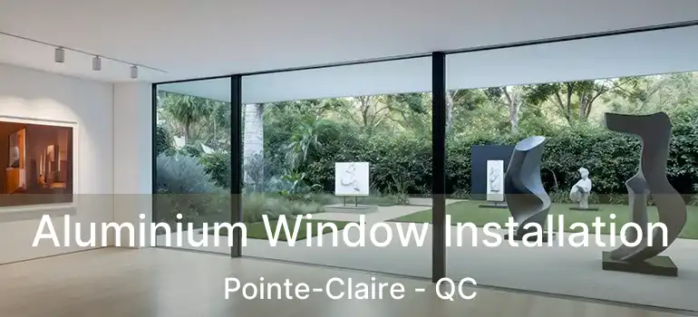  Aluminium Window Installation Pointe-Claire - QC