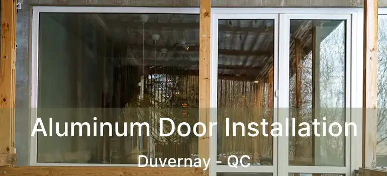  Aluminum Door Installation Duvernay - QC