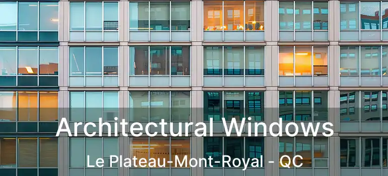  Architectural Windows Le Plateau-Mont-Royal - QC