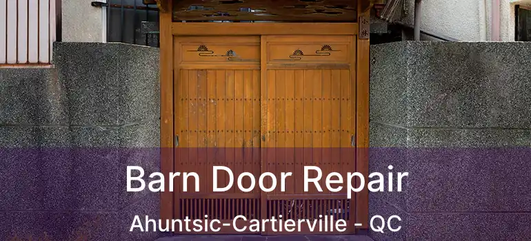  Barn Door Repair Ahuntsic-Cartierville - QC