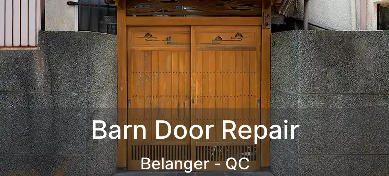  Barn Door Repair Belanger - QC