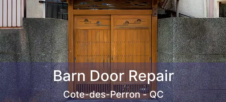  Barn Door Repair Cote-des-Perron - QC