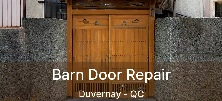 Barn Door Repair Duvernay - QC