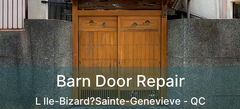  Barn Door Repair L Ile-Bizard?Sainte-Genevieve - QC