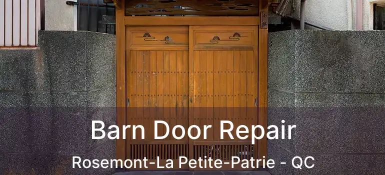  Barn Door Repair Rosemont-La Petite-Patrie - QC
