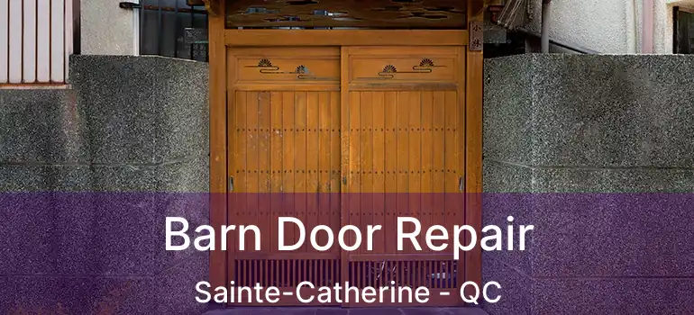  Barn Door Repair Sainte-Catherine - QC