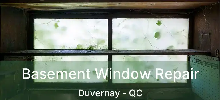  Basement Window Repair Duvernay - QC