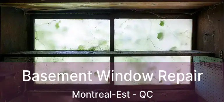  Basement Window Repair Montreal-Est - QC