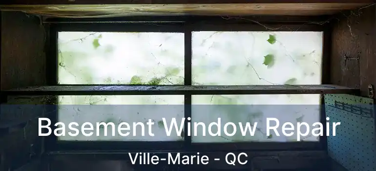  Basement Window Repair Ville-Marie - QC