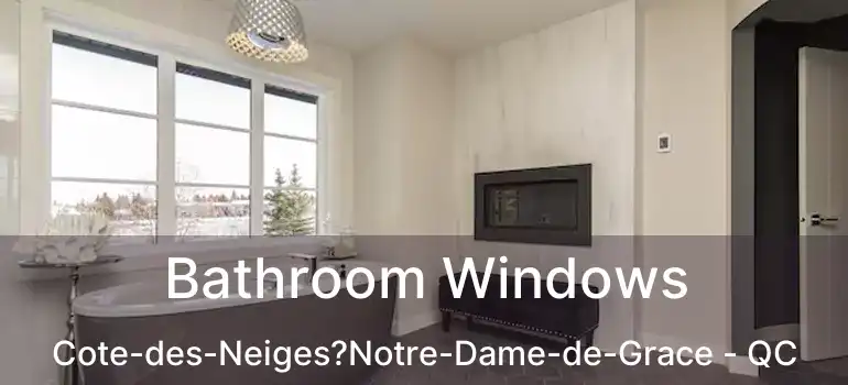  Bathroom Windows Cote-des-Neiges?Notre-Dame-de-Grace - QC