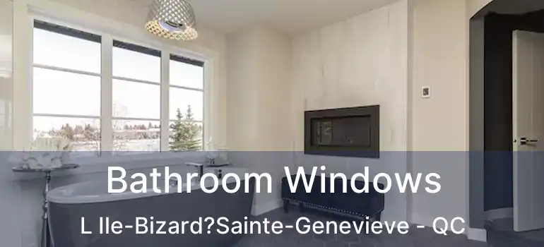  Bathroom Windows L Ile-Bizard?Sainte-Genevieve - QC