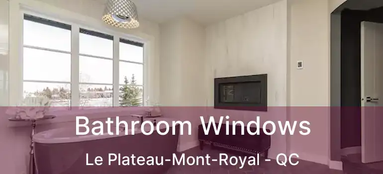  Bathroom Windows Le Plateau-Mont-Royal - QC