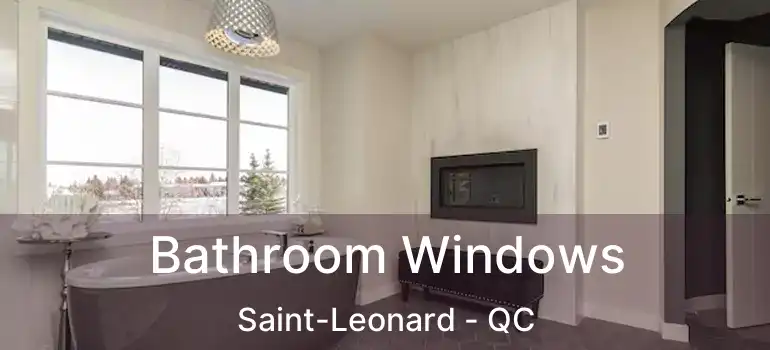  Bathroom Windows Saint-Leonard - QC