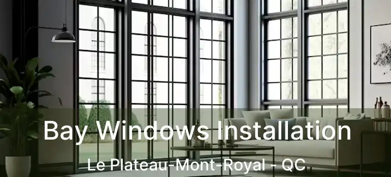  Bay Windows Installation Le Plateau-Mont-Royal - QC