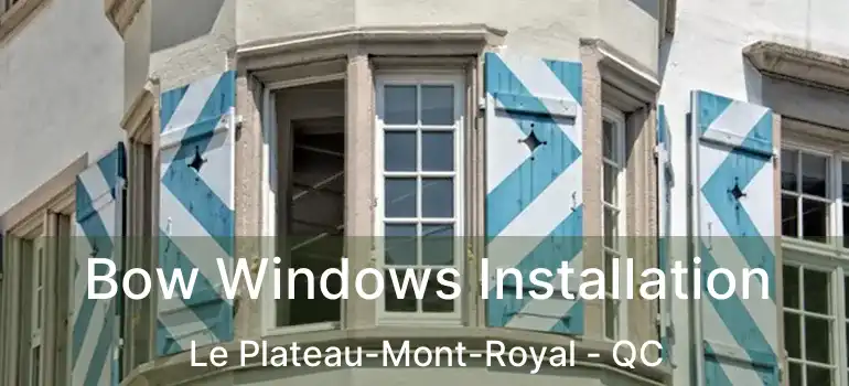  Bow Windows Installation Le Plateau-Mont-Royal - QC