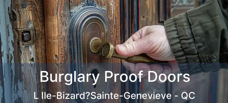  Burglary Proof Doors L Ile-Bizard?Sainte-Genevieve - QC