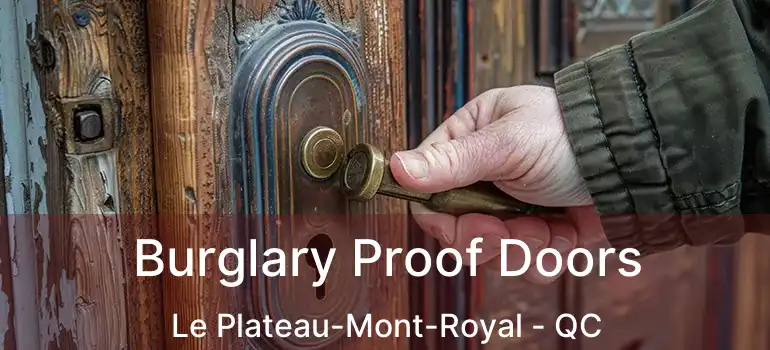  Burglary Proof Doors Le Plateau-Mont-Royal - QC