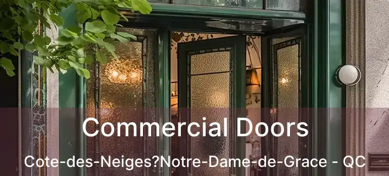  Commercial Doors Cote-des-Neiges?Notre-Dame-de-Grace - QC