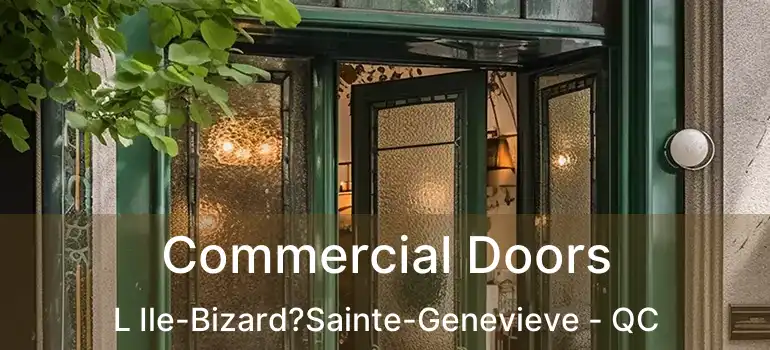  Commercial Doors L Ile-Bizard?Sainte-Genevieve - QC