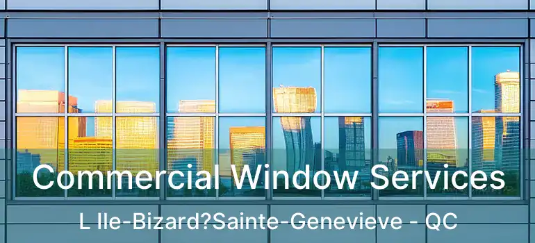  Commercial Window Services L Ile-Bizard?Sainte-Genevieve - QC