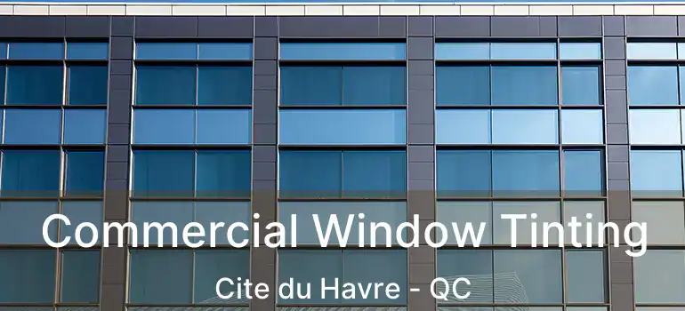  Commercial Window Tinting Cite du Havre - QC
