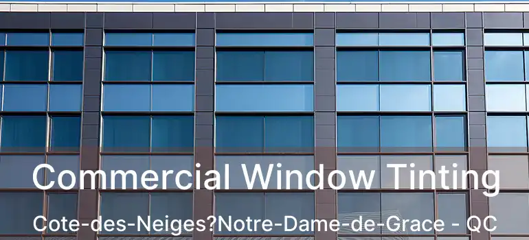  Commercial Window Tinting Cote-des-Neiges?Notre-Dame-de-Grace - QC