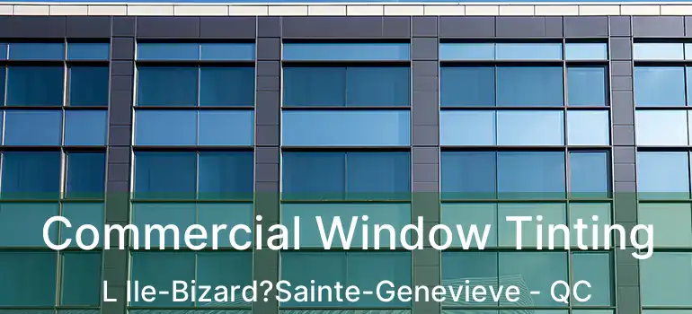  Commercial Window Tinting L Ile-Bizard?Sainte-Genevieve - QC