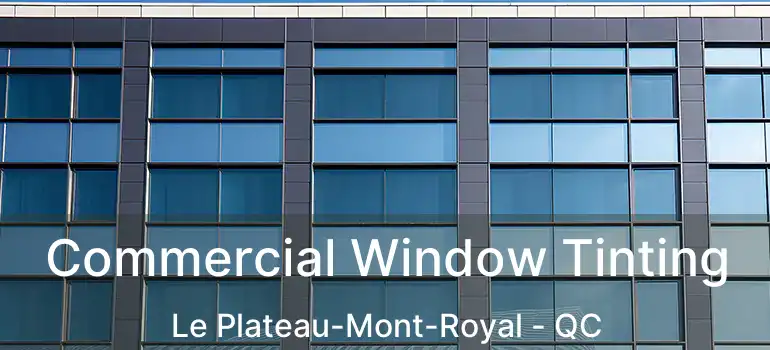  Commercial Window Tinting Le Plateau-Mont-Royal - QC