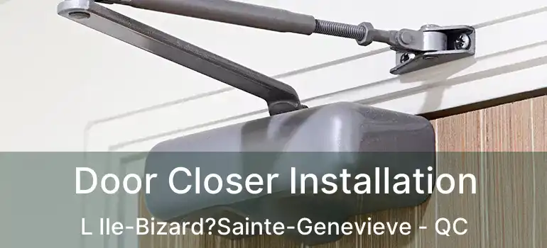  Door Closer Installation L Ile-Bizard?Sainte-Genevieve - QC