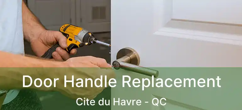  Door Handle Replacement Cite du Havre - QC
