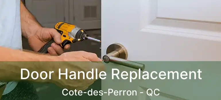  Door Handle Replacement Cote-des-Perron - QC
