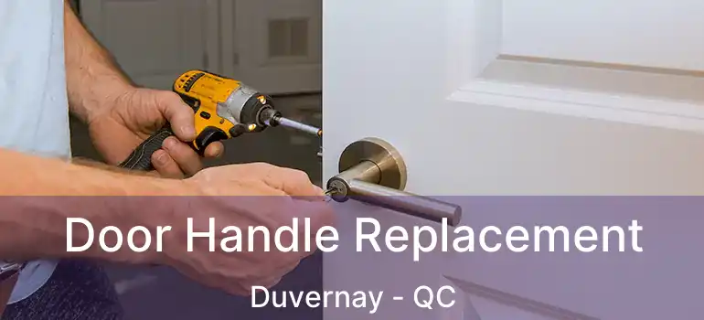  Door Handle Replacement Duvernay - QC
