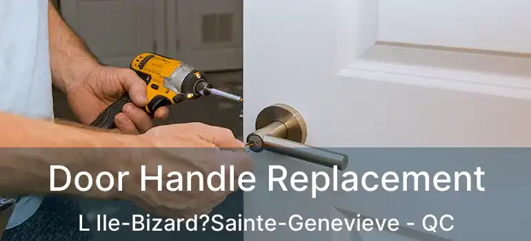  Door Handle Replacement L Ile-Bizard?Sainte-Genevieve - QC