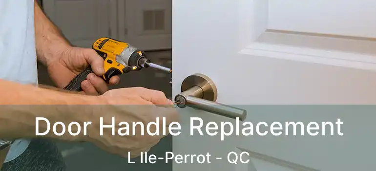  Door Handle Replacement L Ile-Perrot - QC