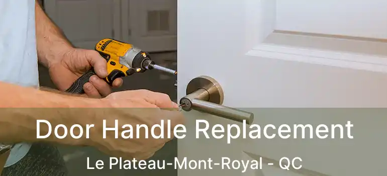  Door Handle Replacement Le Plateau-Mont-Royal - QC