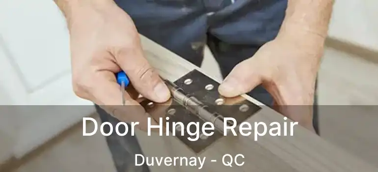  Door Hinge Repair Duvernay - QC
