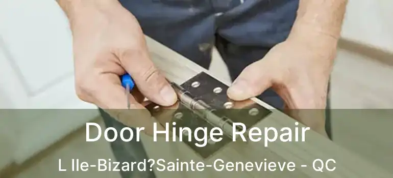  Door Hinge Repair L Ile-Bizard?Sainte-Genevieve - QC