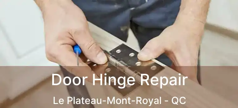 Door Hinge Repair Le Plateau-Mont-Royal - QC