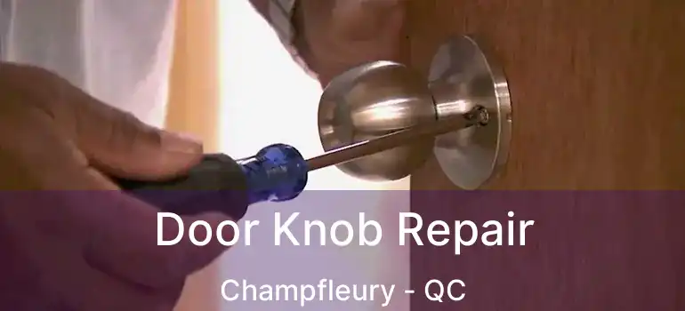  Door Knob Repair Champfleury - QC