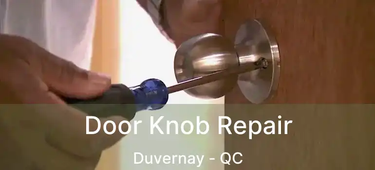  Door Knob Repair Duvernay - QC