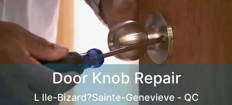  Door Knob Repair L Ile-Bizard?Sainte-Genevieve - QC